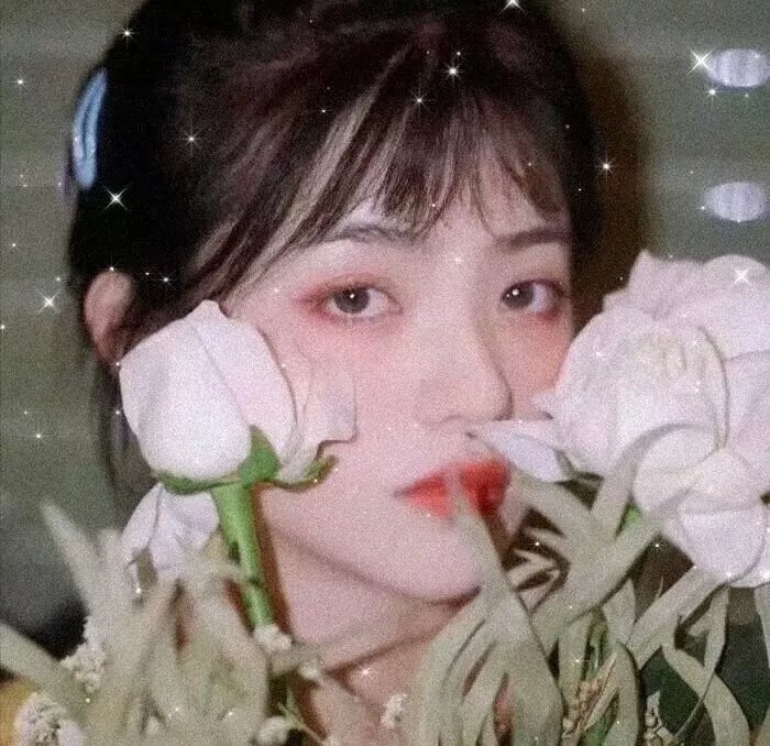 周生如故