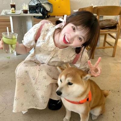 乔家的儿女
